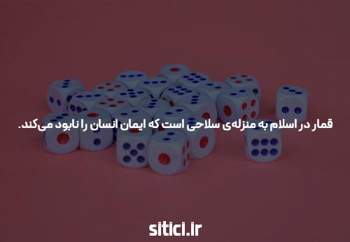آشنایی با سایت شرط بندی دنس بت و اپلیکیشن: چرا باید به آن توجه کنیم؟
