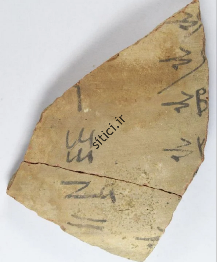 (تصاویر) بزرگترین مجموعه «دفترهای یادداشت» مصر باستان!